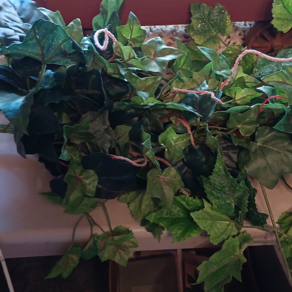 Primitive set - Picture 5 of 8